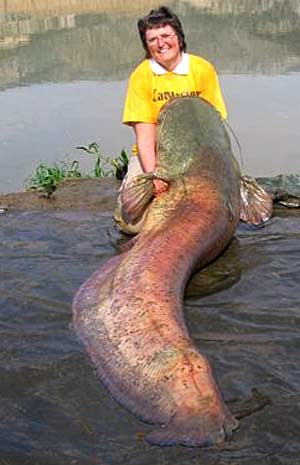 Linda Billington 209lb - Record catfish caught by lady angler!