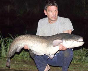 Paul Scarrott 37lb 8oz Orchid Lakes