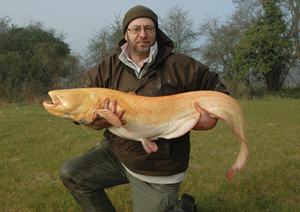 Keith Lambert, 39lb- the UK's largest true albino catfish.Darenth.
