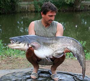 Paul Scarrott 41lb 11oz Orchid Lake