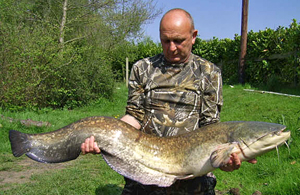 Barry Perry 31lb