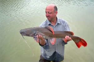 Mark Campion, Asian red-tailed catfish, Gillhams Fishing Resorts, Thailand