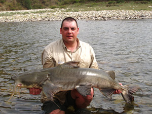 James Peacock, Goonch catfish, India