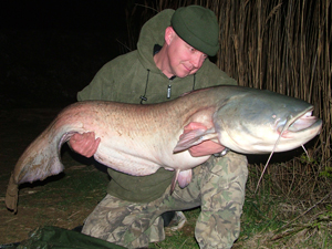 Kevin Midmore 55lb