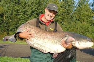 Mick Brown 67lb 4oz