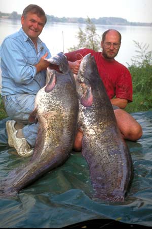 Kevin Maddocks 81lb, Keith Lambert 98lb River Po