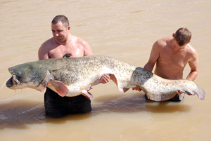 Rob Laidlaw 151lb Rio Ebro Caspe