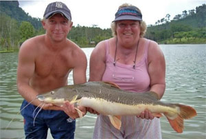 Sandy, Tiger shovelnose x Brazilian reditailed catfish hybrid, Gillhams Fishing Resorts Thailand