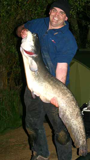 Tom Stoodley 39lb 12oz - 1st catfish ! 