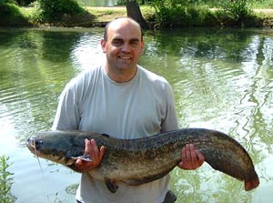 Tom Stoodley 28lb 5oz Orchid Fishery