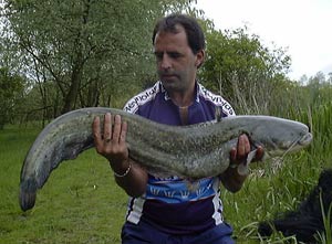 19lb 2oz Anthony Parkin Lakemore Fisheries