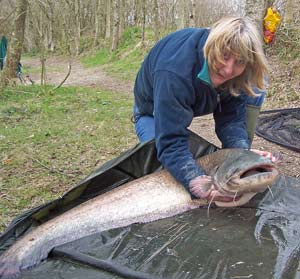 Sue Banyon 40lb Pat's Pool White Acres