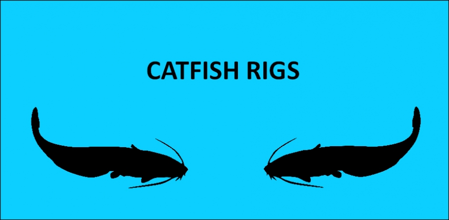 Catfish Rigs