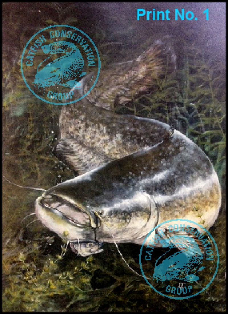 Catfish Print
