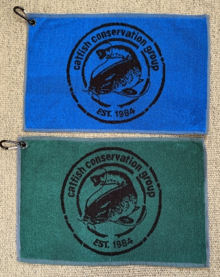 CCG Hand Towels